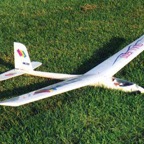 00gull1.jpg