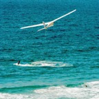 00gull2.jpg