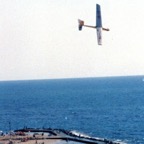 00gull3.jpg