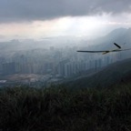 01hk8.jpg