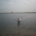 0305vis1.jpg