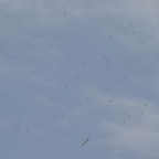 05cvrc5.jpg