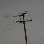 06swsa5.jpg