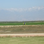 10cvrc65.jpg