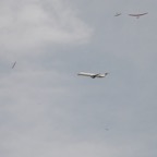 02casl19.jpg