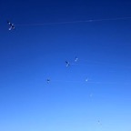 08f3jw23.jpg