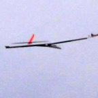 08f3jw46.jpg
