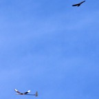 02casl40.jpg