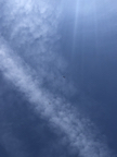 IMG_1012.jpeg