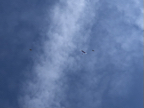 IMG_1013.jpeg