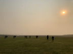 IMG_2227.jpeg